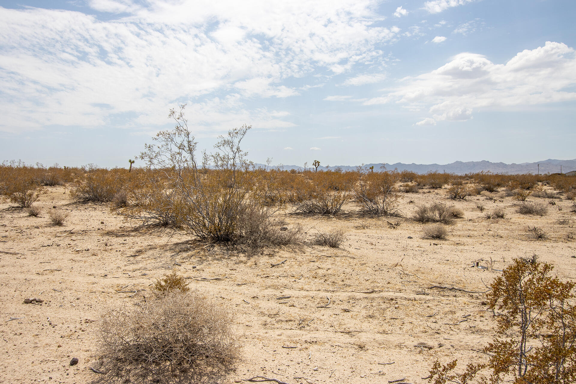 0 Celeste Road Joshua Tree, CA 92252 - Photo 21 of 26