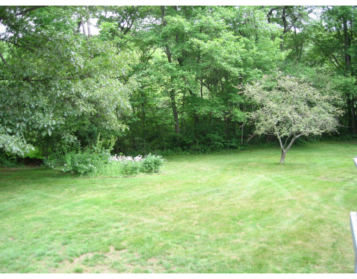 320 Dover Road Westwood, MA 02090 - Photo 3 of 13 Gallery Image 3