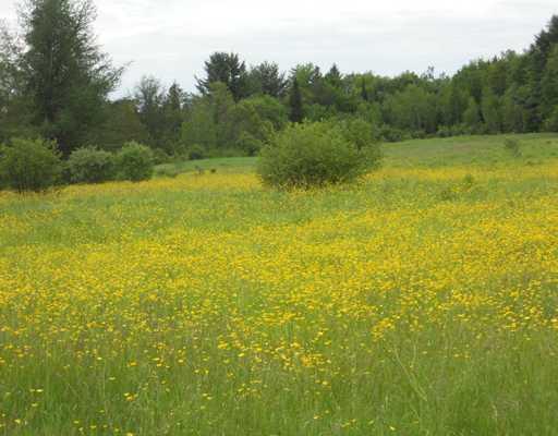 20 Warren Hill Road Palmyra, ME 04965 - Photo 1 of 3 Land.