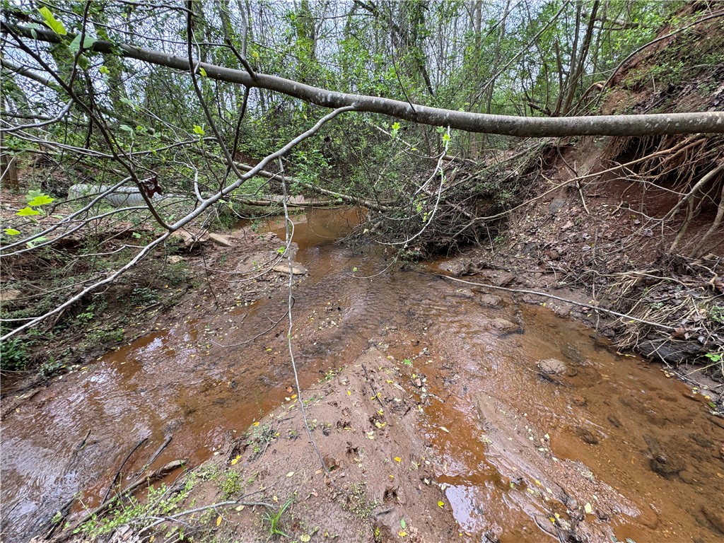 850 Lebanon Road Pendleton, SC 29670 - Photo 28 of 48