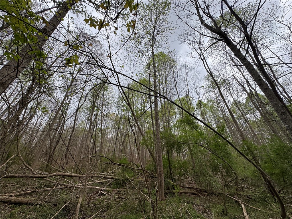 850 Lebanon Road Pendleton, SC 29670 - Photo 31 of 48