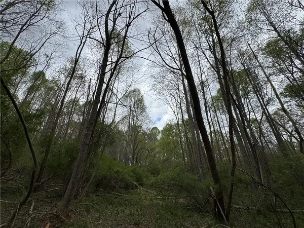 $1,300,000 | 850 Lebanon Road, Pendleton, SC 29670