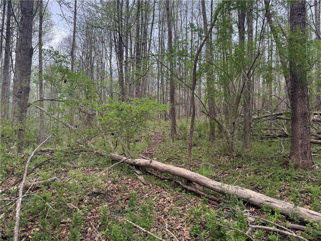 850 Lebanon Road Pendleton, SC 29670 - Photo 33 of 48