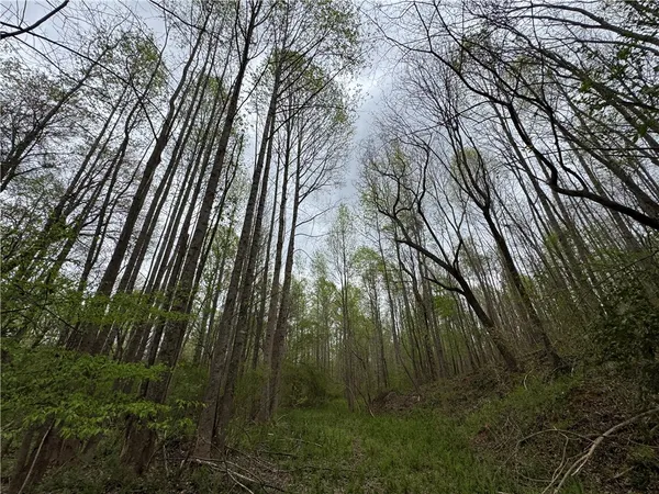 $1,300,000 | 850 Lebanon Road, Pendleton, SC 29670