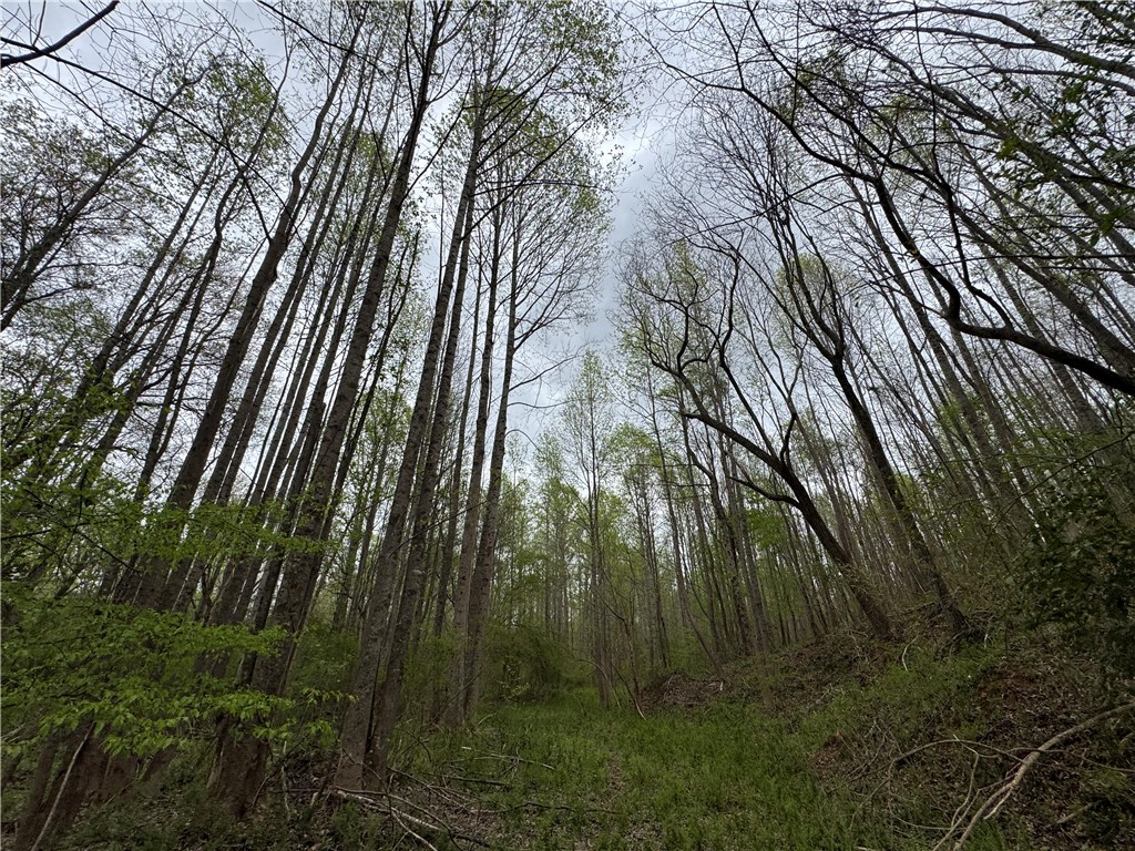 850 Lebanon Road Pendleton, SC 29670 - Photo 34 of 48