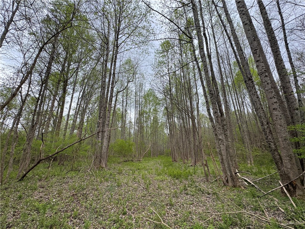 850 Lebanon Road Pendleton, SC 29670 - Photo 35 of 48