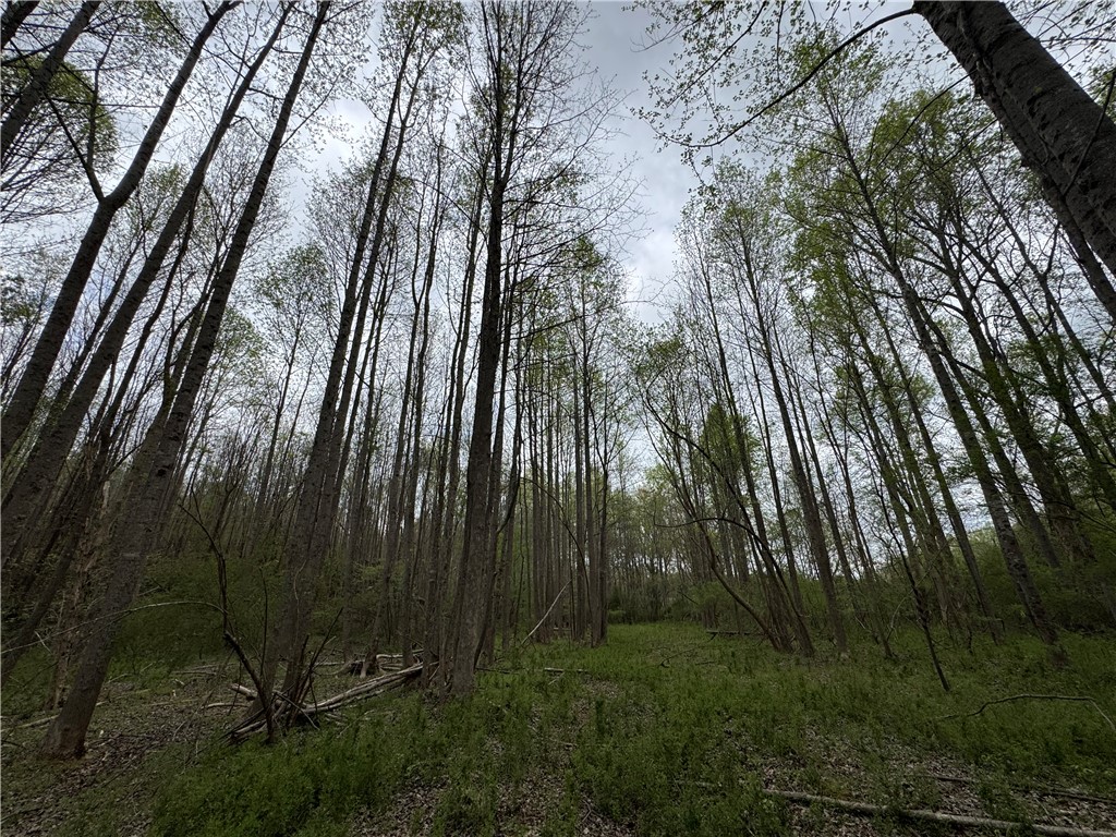 850 Lebanon Road Pendleton, SC 29670 - Photo 36 of 48