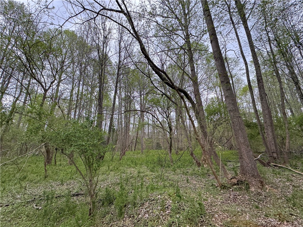 850 Lebanon Road Pendleton, SC 29670 - Photo 37 of 48