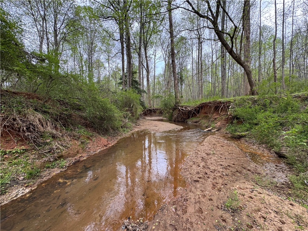 850 Lebanon Road Pendleton, SC 29670 - Photo 42 of 48