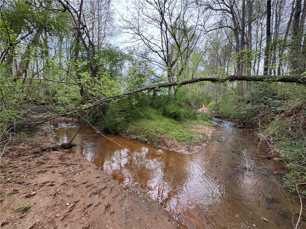 850 Lebanon Road Pendleton, SC 29670 - Photo 43 of 48