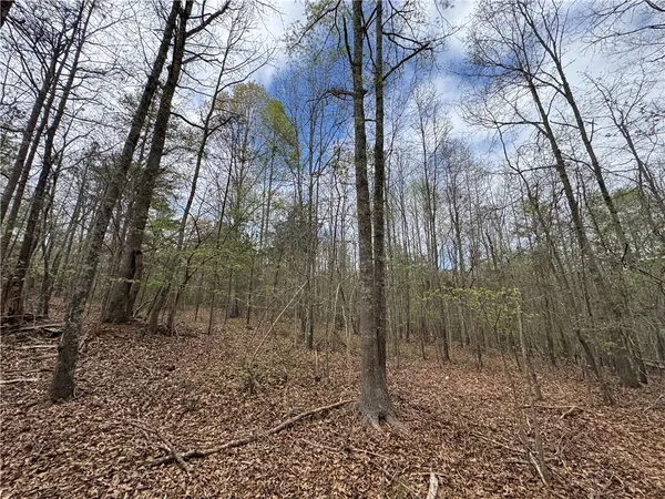 $1,200,000 | 850 Lebanon Road, Pendleton, SC 29670