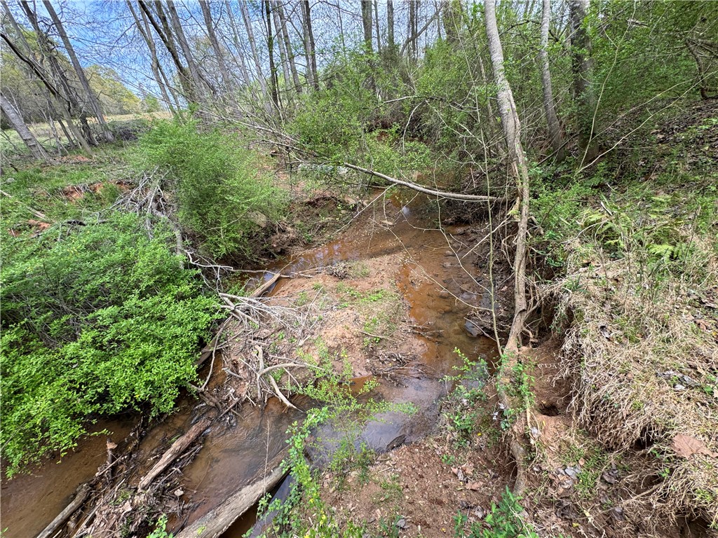 850 Lebanon Road Pendleton, SC 29670 - Photo 46 of 48