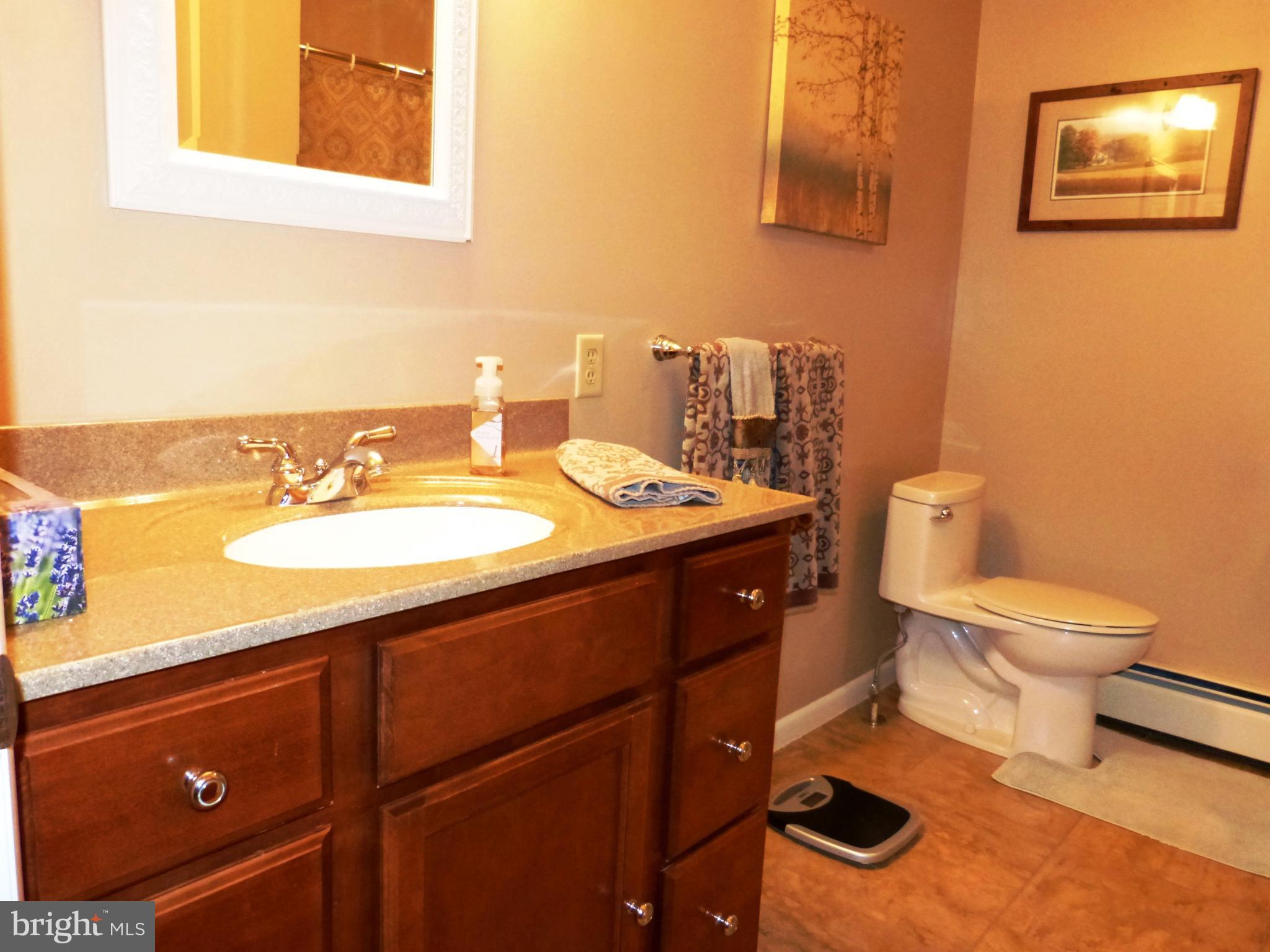 2951 Ridgeview Road Dallastown, PA 17313 - Photo 33 of 63