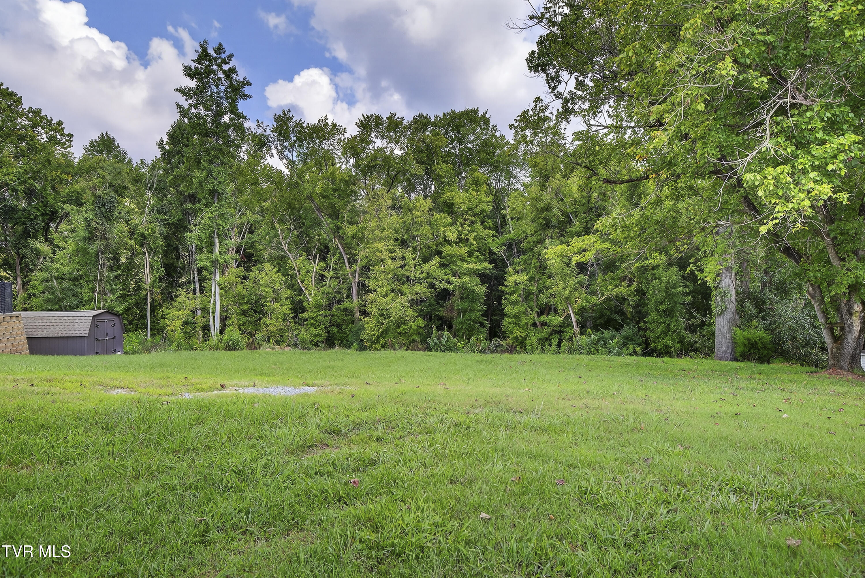 202 Hickory Road Bristol, TN 37620 - Photo 3 of 23 202-Hickory-Bristol-TN Travis-Dyson-22