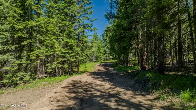 $320,000 | Tbd Kreiger Creek Road, Careywood, ID 83809