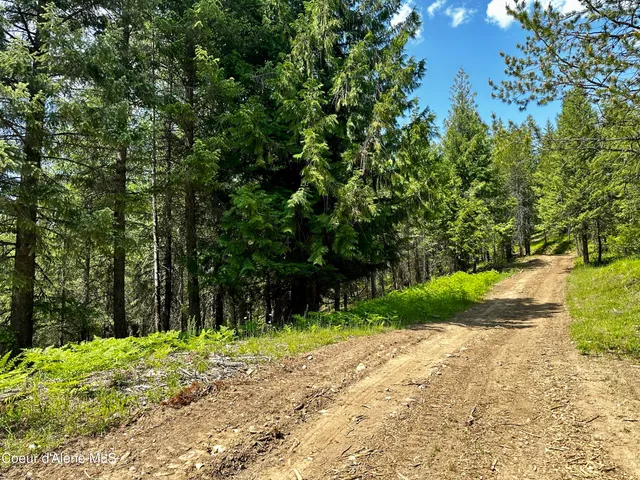 $320,000 | Tbd Kreiger Creek Road, Careywood, ID 83809