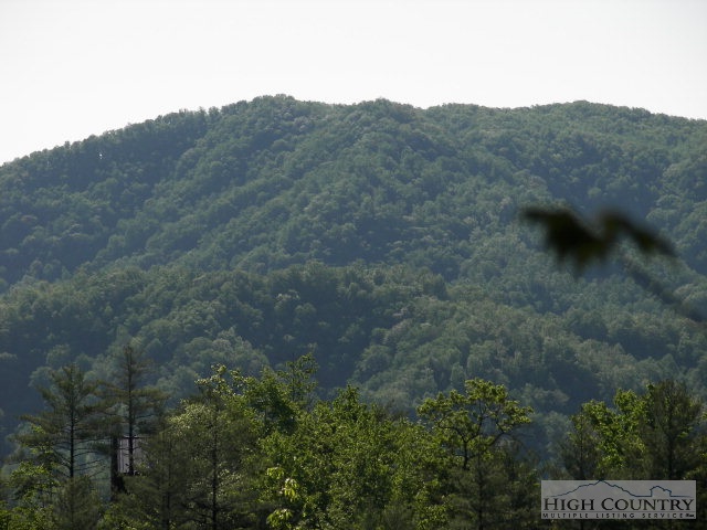 Joe's Fork Road Lenoir, NC 28645 - Photo 1 of 1 Gallery Image 1