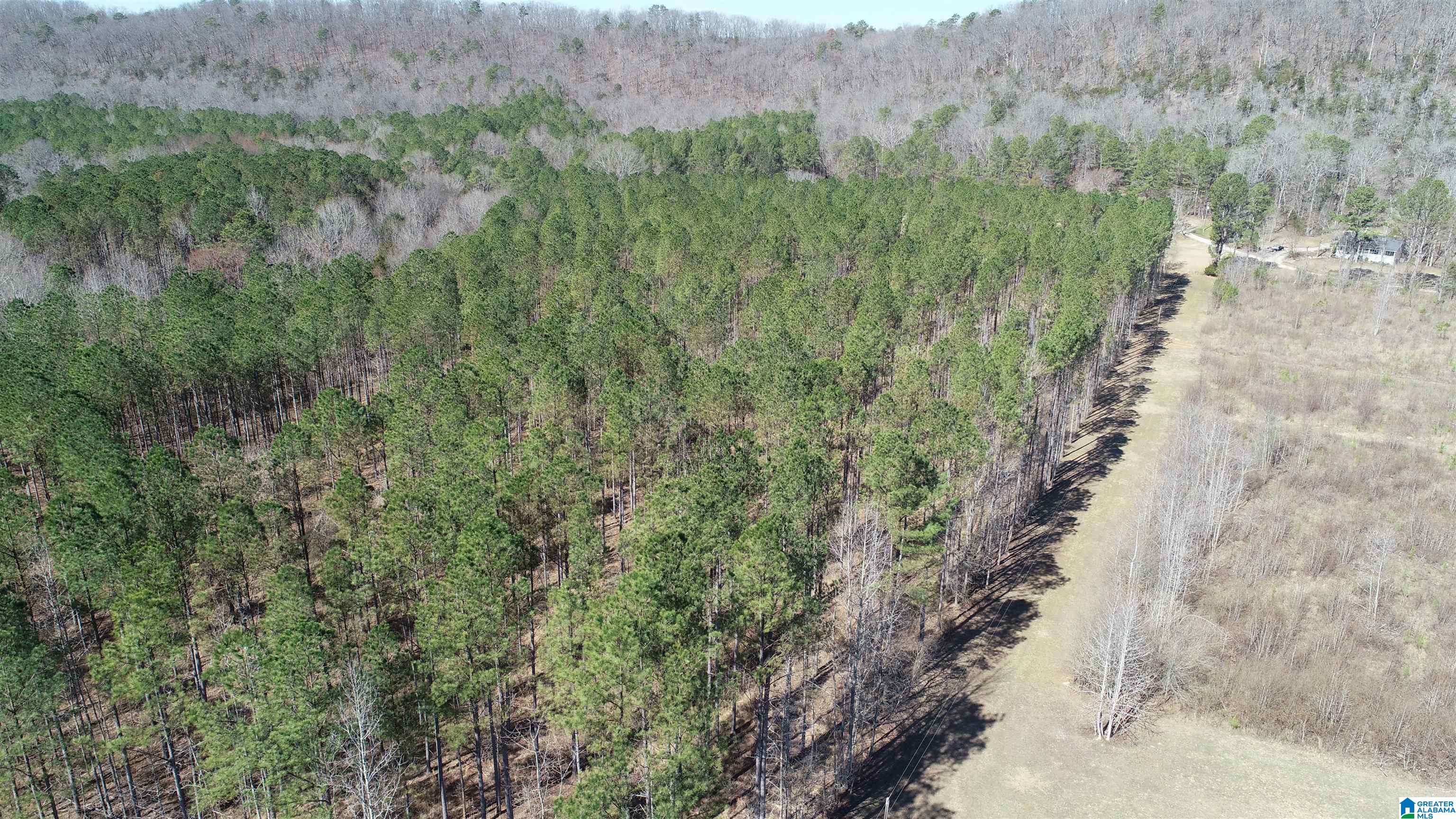 109 Shadow Stone Lane Oneonta, AL 35121 - Photo 5 of 31
