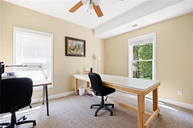 a view of a tree in a yard