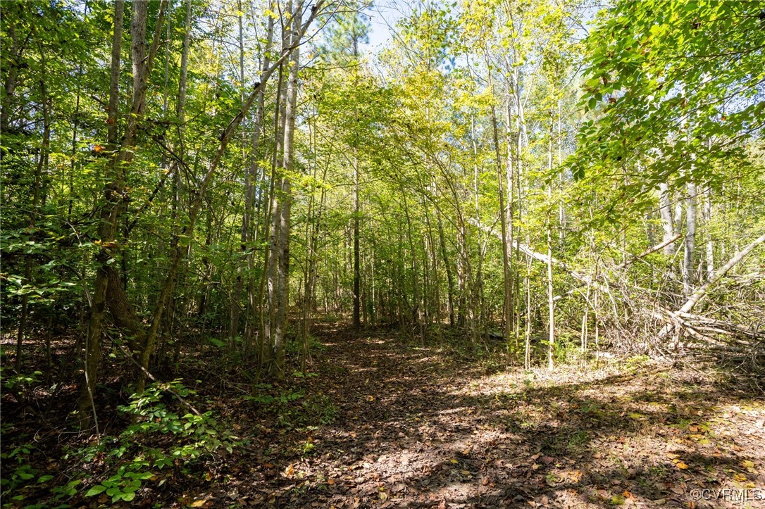 0 Beaver Dam Road Beaverdam, VA 23015 - Photo 14 of 50 a view of outdoor space and a yard