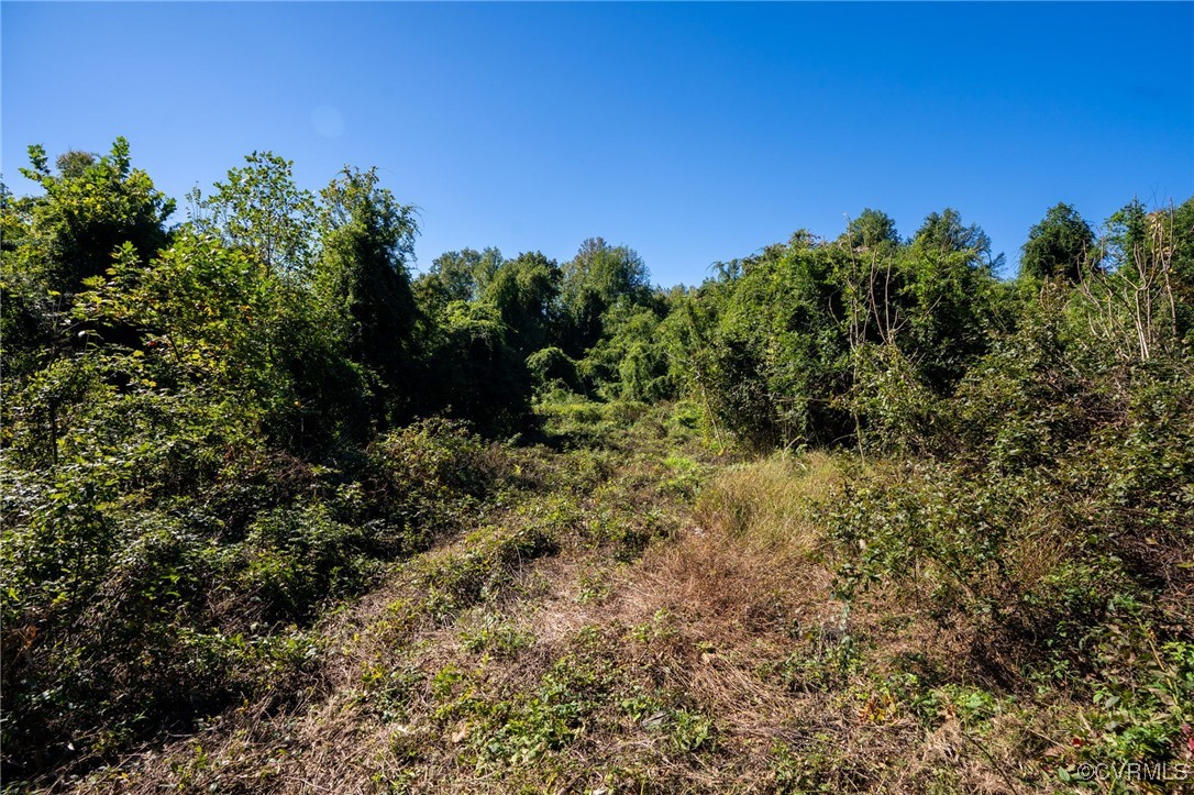0 Beaver Dam Road Beaverdam, VA 23015 - Photo 18 of 50 a view of a field of grass and trees