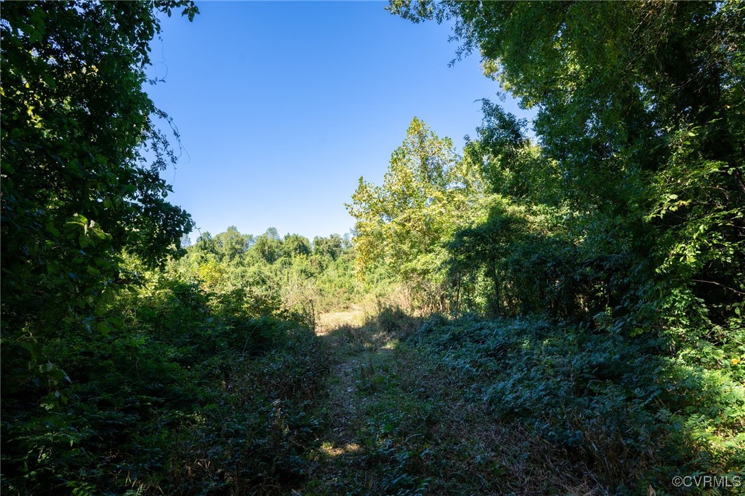 0 Beaver Dam Road Beaverdam, VA 23015 - Photo 19 of 50 a view of a yard