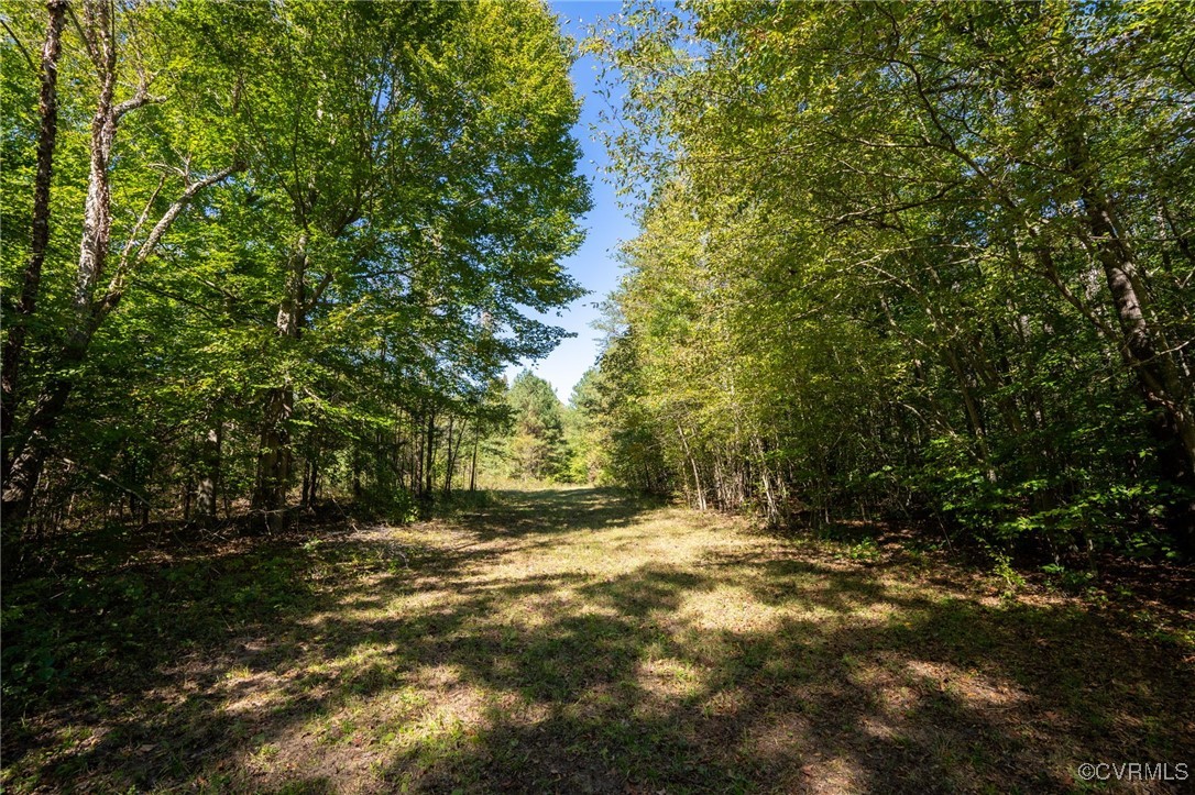 0 Beaver Dam Road Beaverdam, VA 23015 - Photo 2 of 50 a view of outdoor space with trees