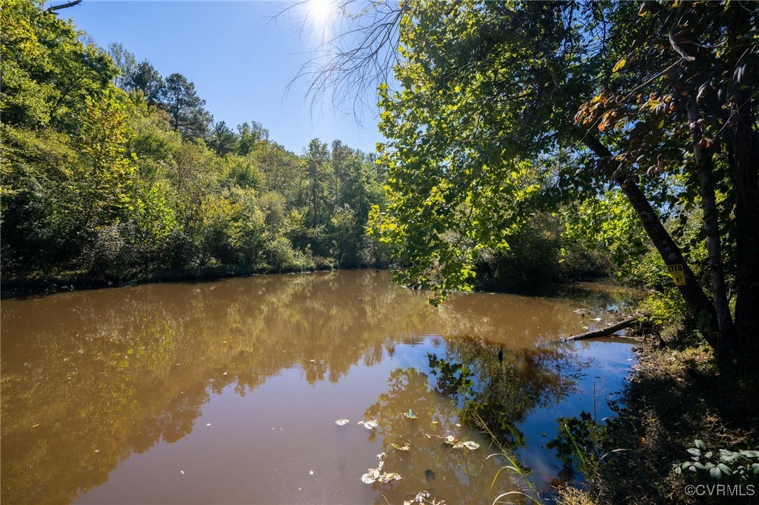 0 Beaver Dam Road Beaverdam, VA 23015 - Photo 21 of 50 a view of a lake from a yard