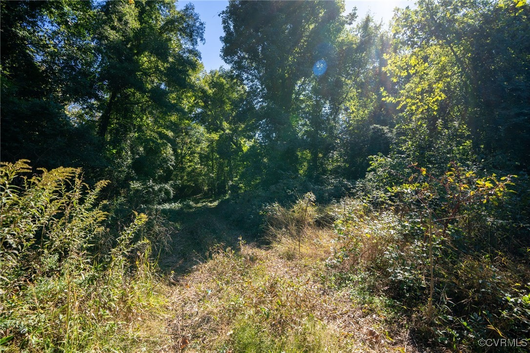 0 Beaver Dam Road Beaverdam, VA 23015 - Photo 22 of 50 a view of a lake with a tree