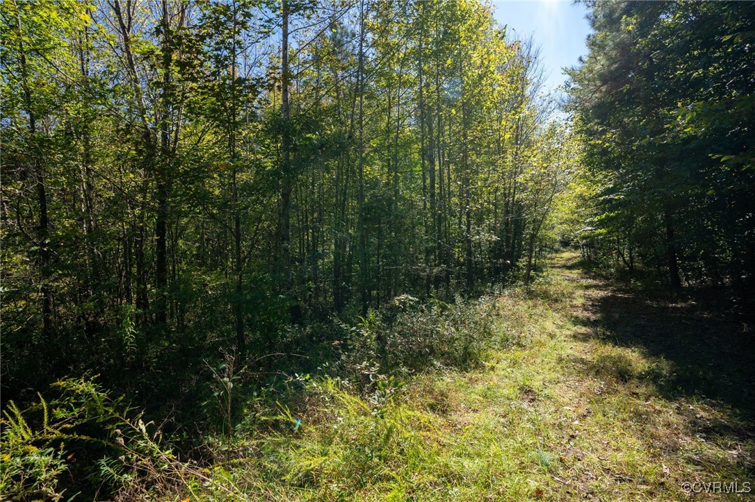 0 Beaver Dam Road Beaverdam, VA 23015 - Photo 26 of 50 a view of a yard