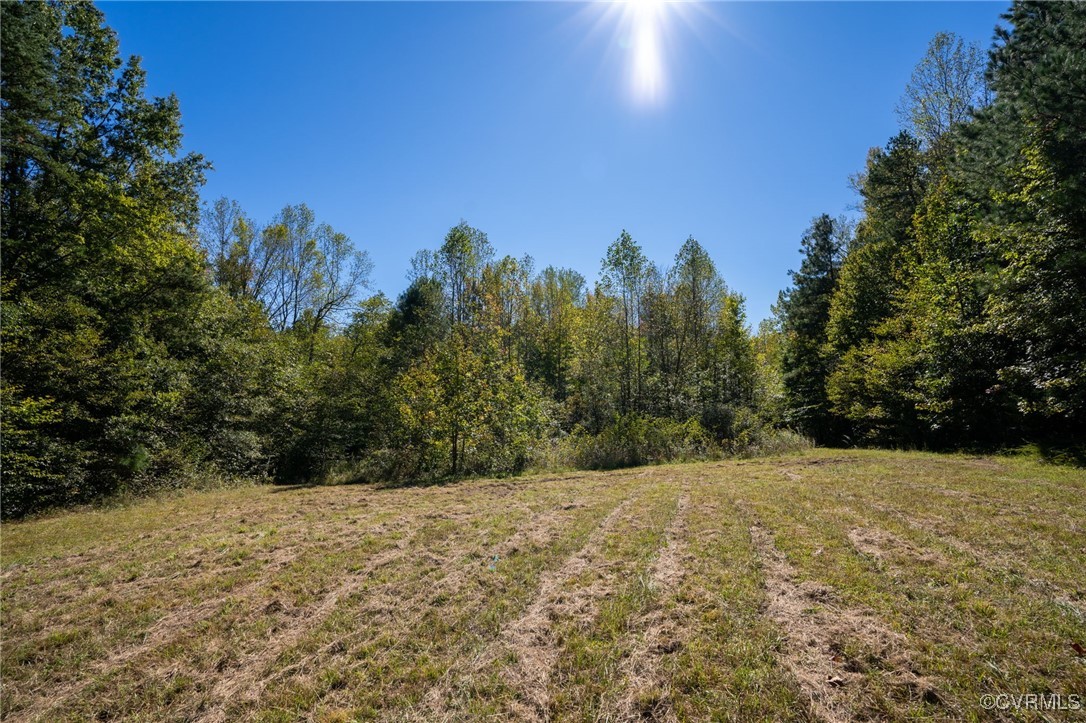 0 Beaver Dam Road Beaverdam, VA 23015 - Photo 3 of 50 a view of a yard with a tree