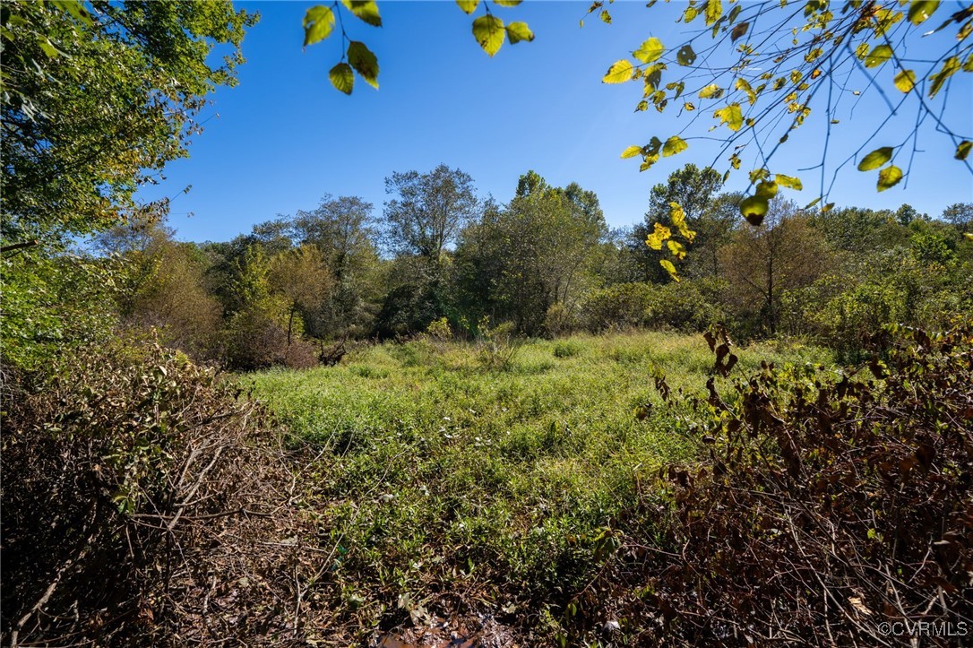 0 Beaver Dam Road Beaverdam, VA 23015 - Photo 31 of 50