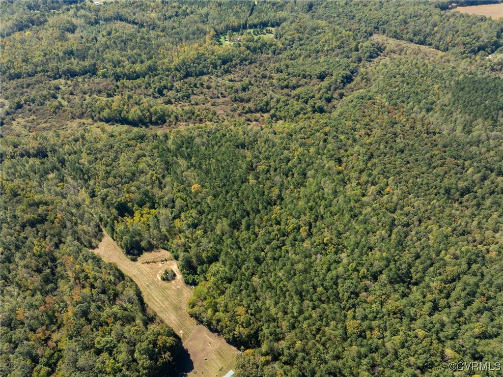 0 Beaver Dam Road Beaverdam, VA 23015 - Photo 33 of 50 a view of a house with a lush green forest
