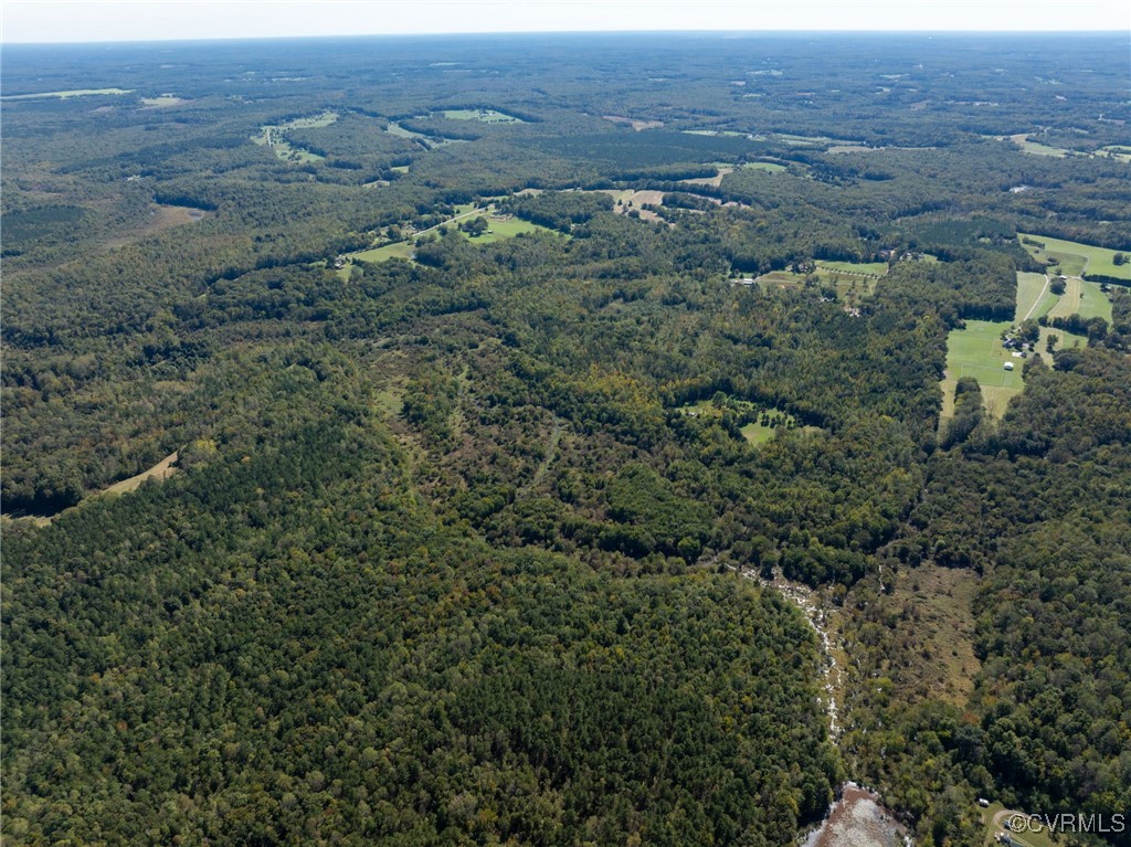 0 Beaver Dam Road Beaverdam, VA 23015 - Photo 37 of 50 an aerial view of forest