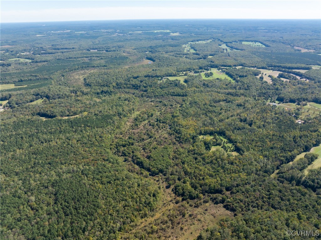 0 Beaver Dam Road Beaverdam, VA 23015 - Photo 38 of 50 a view of a big yard with green space