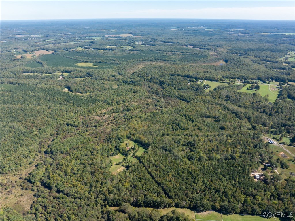0 Beaver Dam Road Beaverdam, VA 23015 - Photo 39 of 50 a view of a field with trees in the background