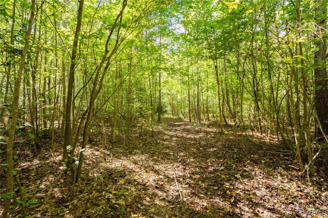 0 Beaver Dam Road Beaverdam, VA 23015 - Photo 4 of 50 a view of room with yard and trees