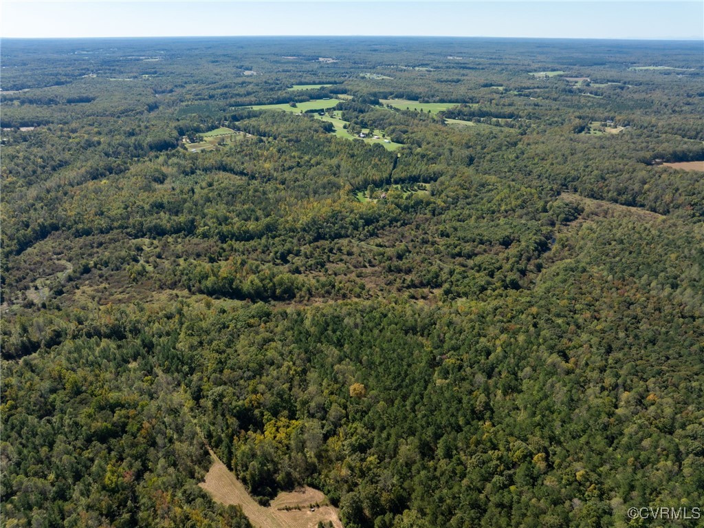 0 Beaver Dam Road Beaverdam, VA 23015 - Photo 50 of 50 a view of a field of grass and mountain
