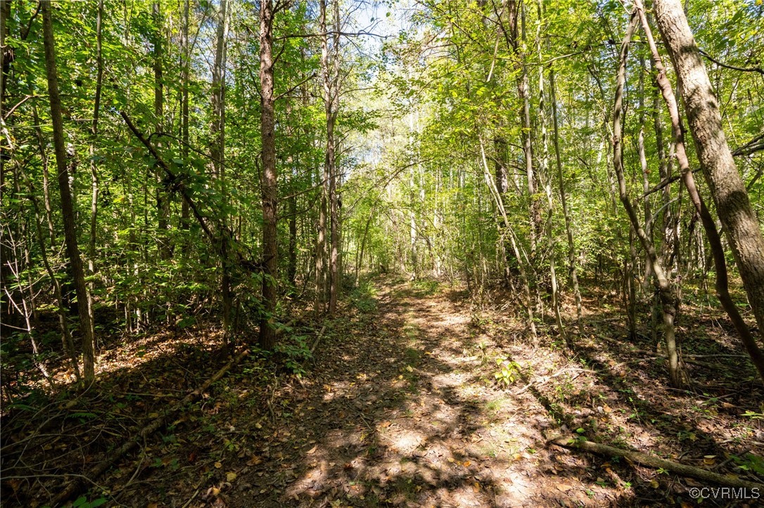 0 Beaver Dam Road Beaverdam, VA 23015 - Photo 6 of 50 a view of a yard with a tree