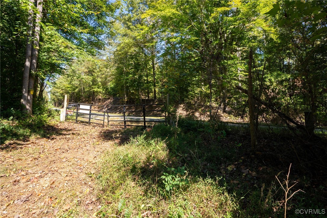 0 Beaver Dam Road Beaverdam, VA 23015 - Photo 7 of 50 a backyard of a house with lots of green space