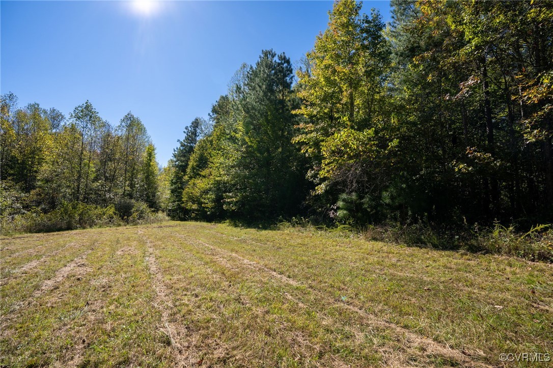 0 Beaver Dam Road Beaverdam, VA 23015 - Photo 9 of 50 a view of empty yard