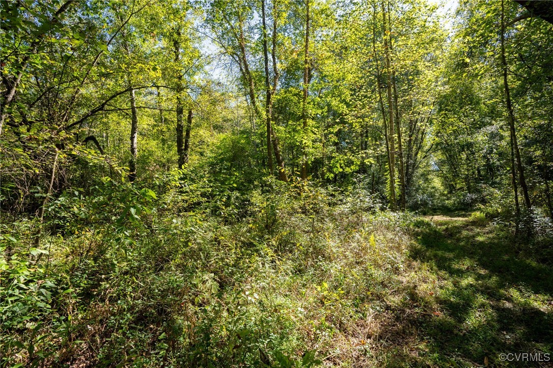 0 Beaver Dam Road Beaverdam, VA 23015 - Photo 10 of 50 a view of a yard with a tree