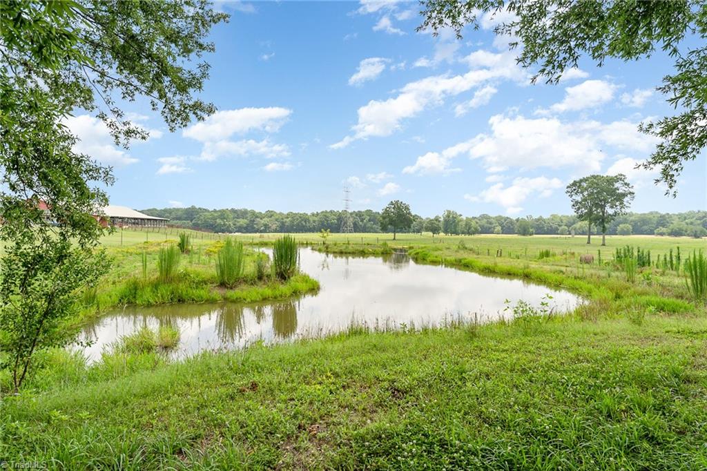310 Tesh Road Clemmons, NC 27012 - Photo 38 of 50 Private Pond