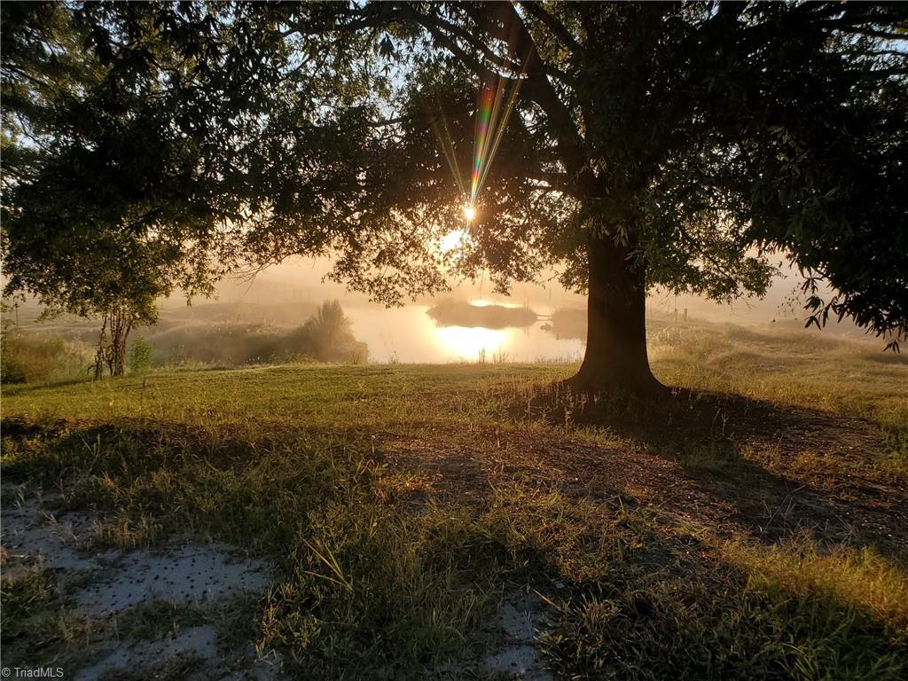 310 Tesh Road Clemmons, NC 27012 - Photo 39 of 50 Pond at Sunrise