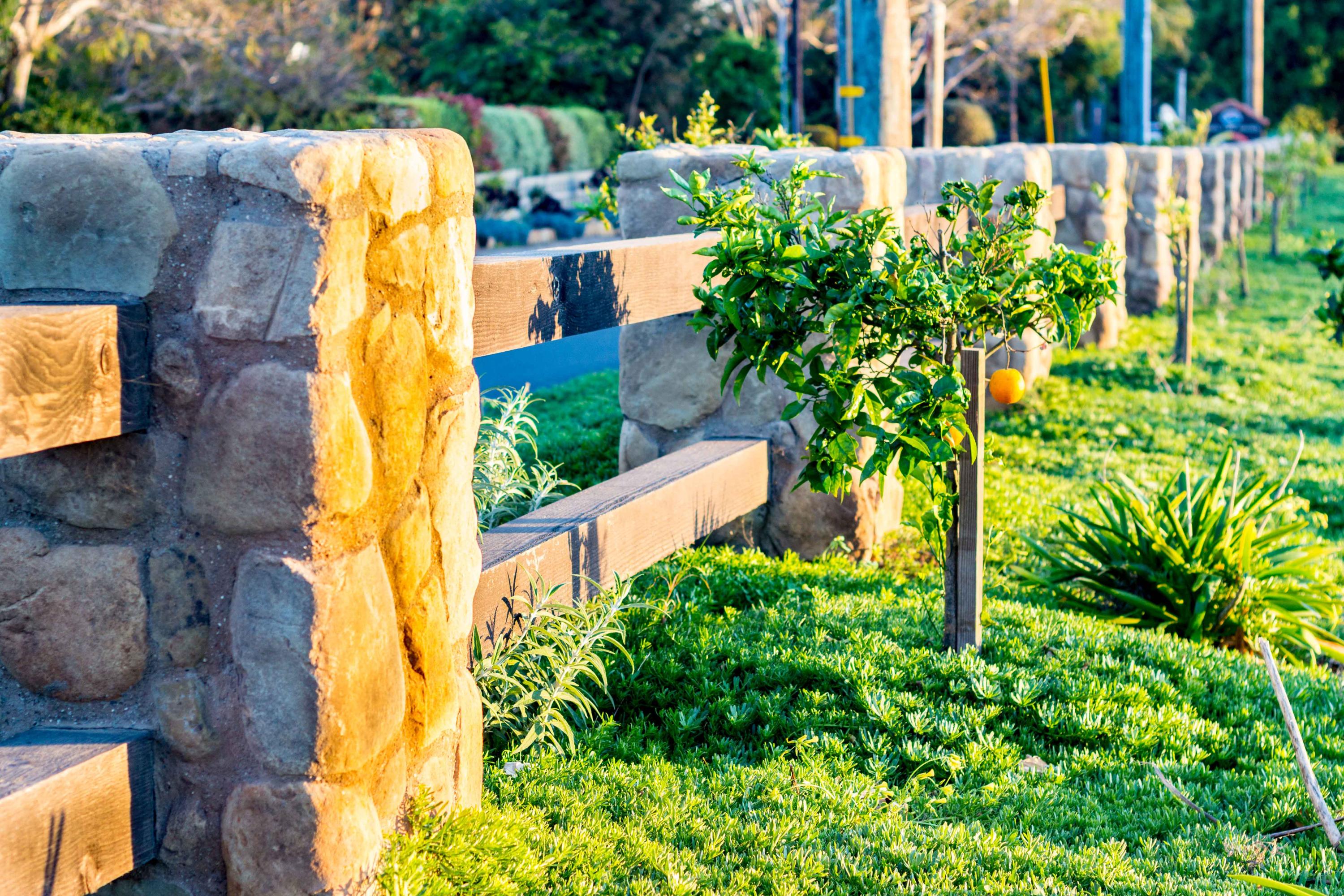 201 Toro Canyon Road Carpinteria, CA 93013 - Photo 11 of 11 Gorgeous Landscaping