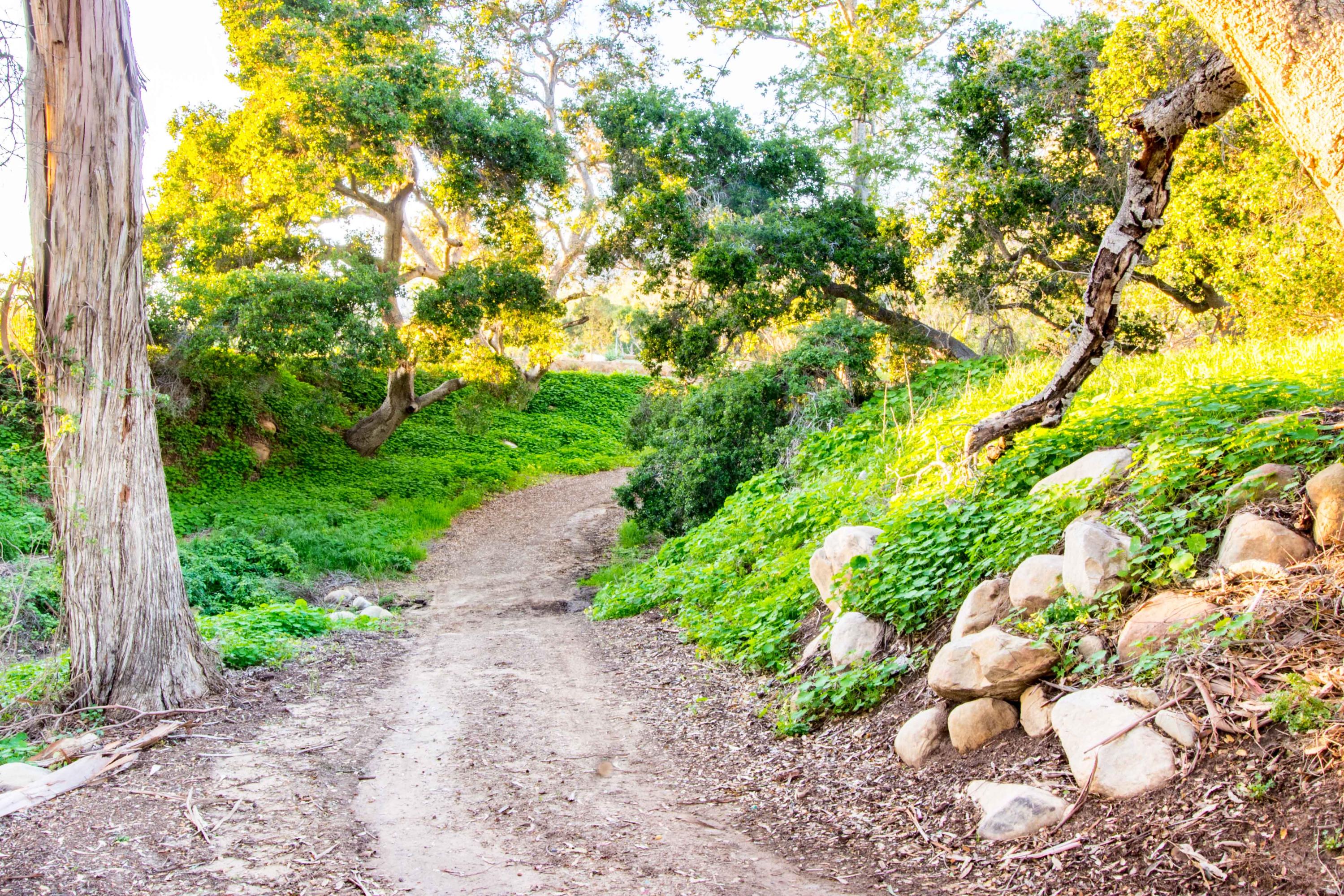 201 Toro Canyon Road Carpinteria, CA 93013 - Photo 8 of 11 Creekside Setting