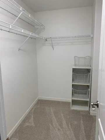 $3,995 | 19138 Cypress Green Drive, Lutz, FL 33558