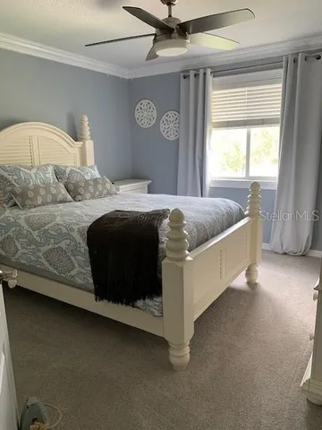 $3,995 | 19138 Cypress Green Drive, Lutz, FL 33558