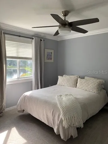 $3,995 | 19138 Cypress Green Drive, Lutz, FL 33558