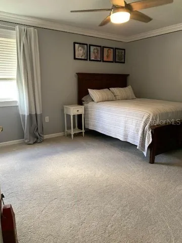 $3,995 | 19138 Cypress Green Drive, Lutz, FL 33558